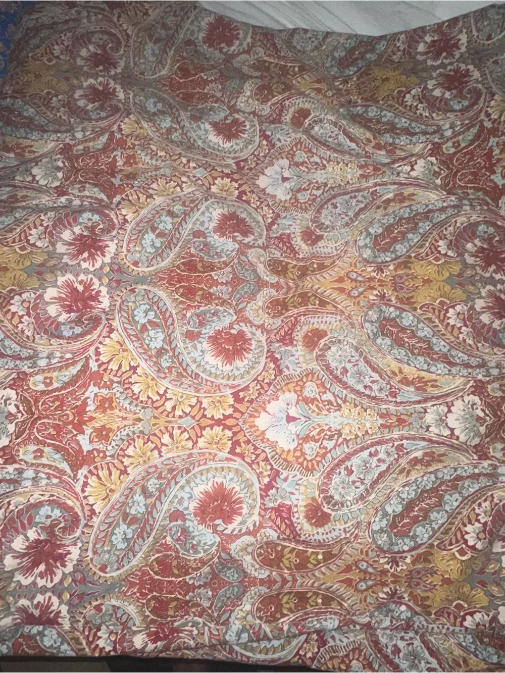 Pottery Barn Bella Paisley Duvet Cover and Shams Queen